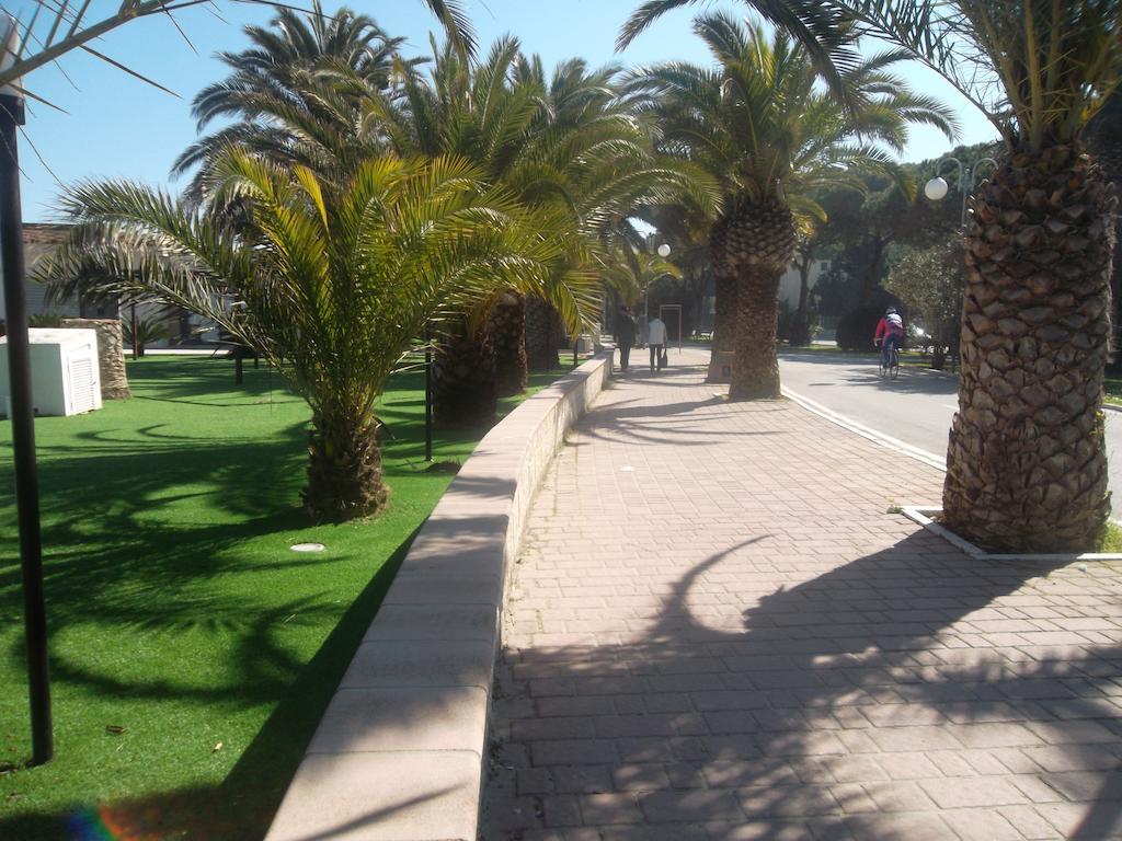 Hotel Quattropalme Tortoreto المظهر الخارجي الصورة